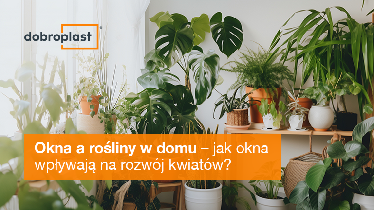 Okna a rośliny w domu – jak okna wpływają na rozwój kwiatów?