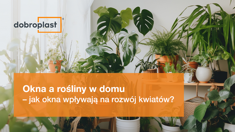 Okna a rośliny w domu – jak okna wpływają na rozwój kwiatów?