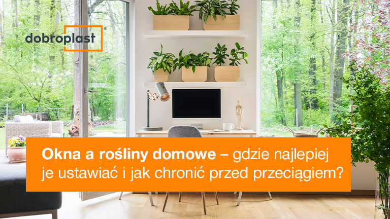 Okna a rośliny domowe – gdzie najlepiej je ustawiać i jak chronić przed przeciągiem?