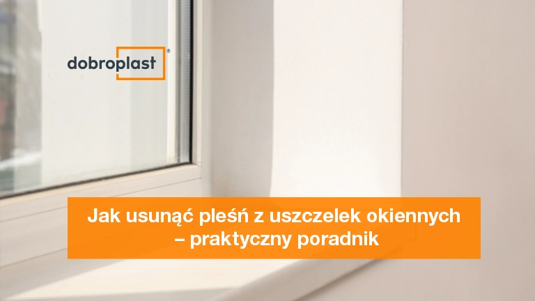 Jak usunąć pleśń z uszczelek okiennych – praktyczny poradnik